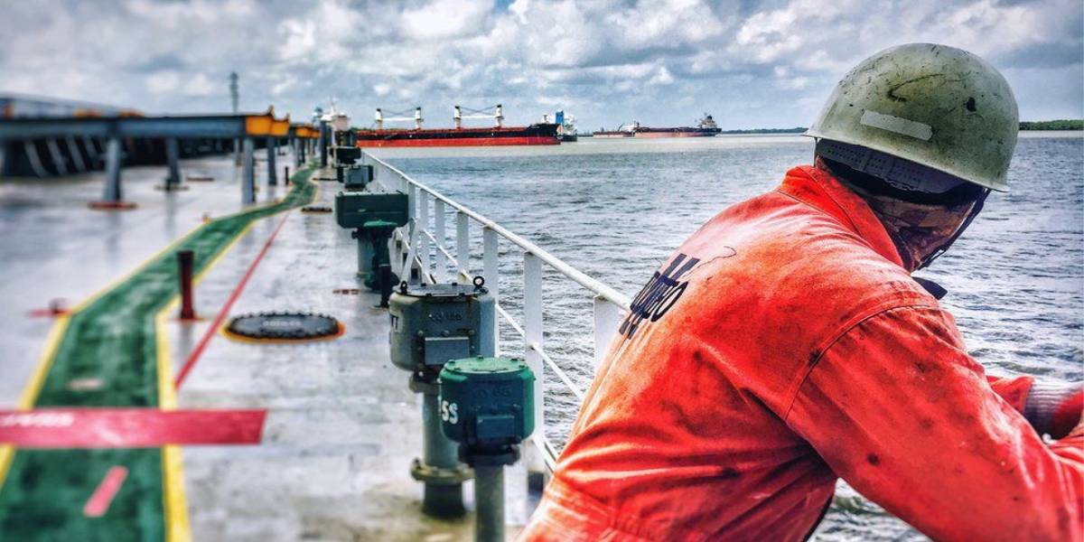 Seafarers’ employment opportunities will be reduced by 25% within five years?